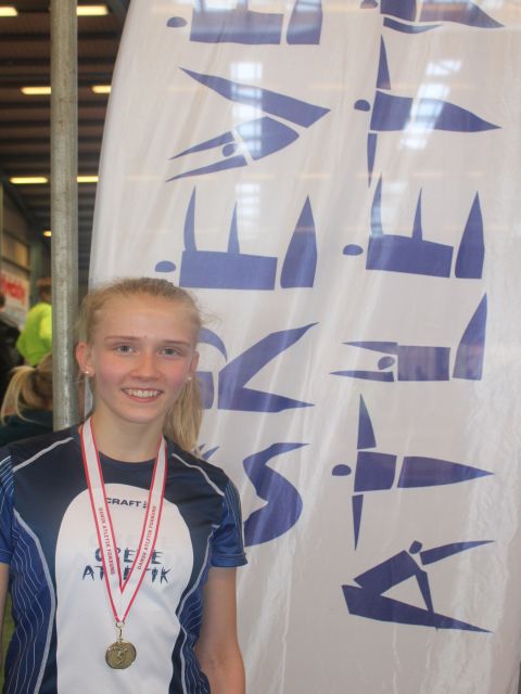 Lise DMU-inde 2014